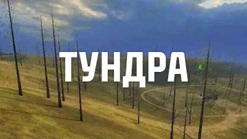 тундра
